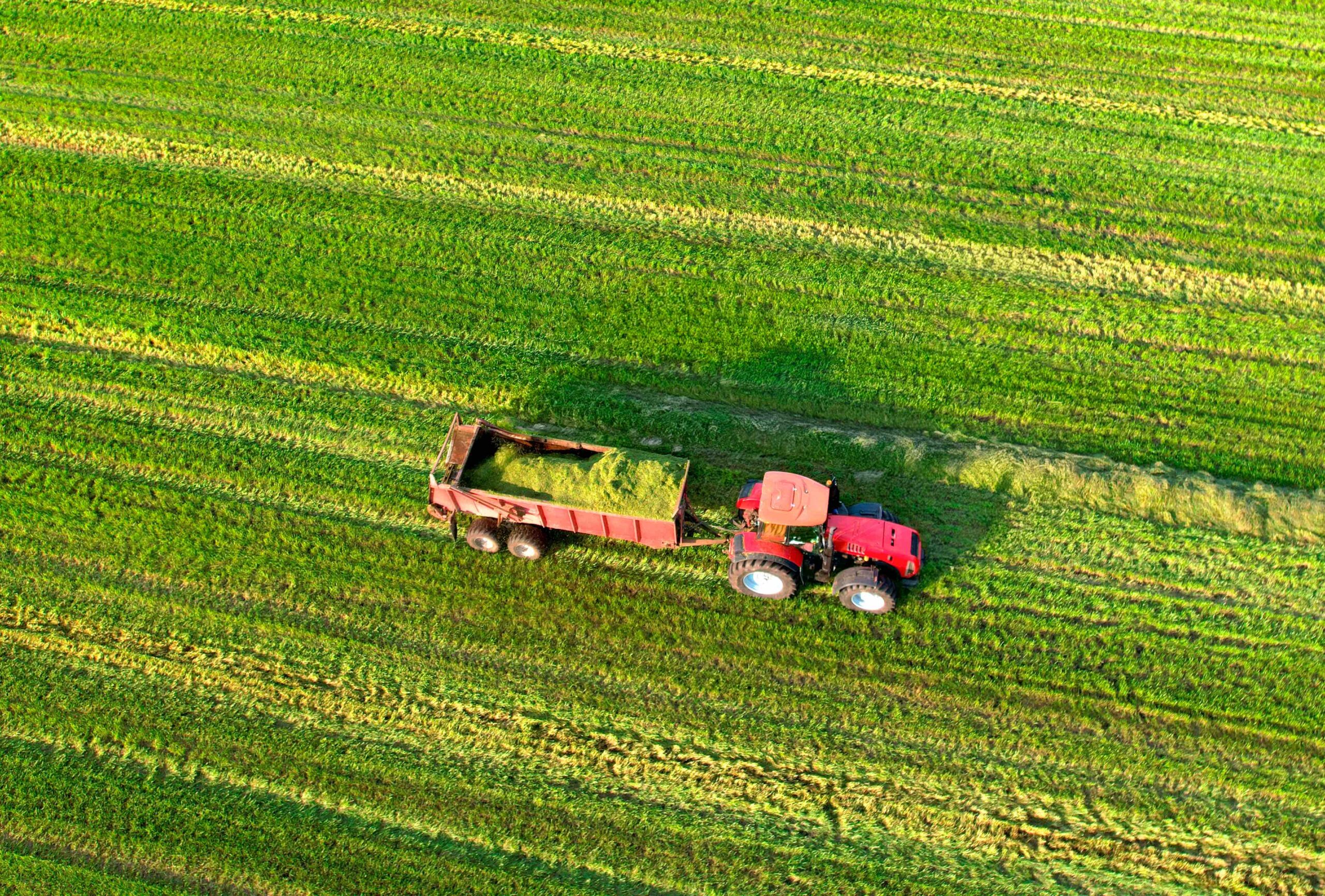 Tracteur dans un champs